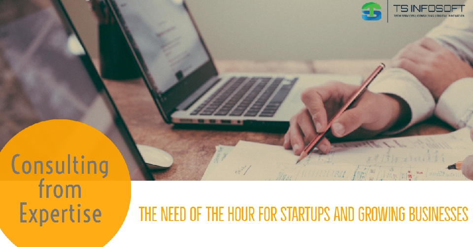 Consulting from Expertise : Need of the hour for Startups and Growing Businesses